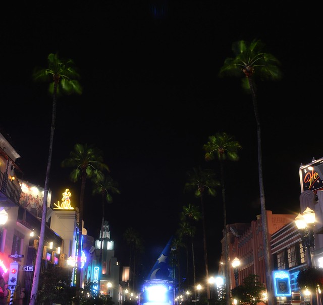 14502010995_38f553228d_z.jpg