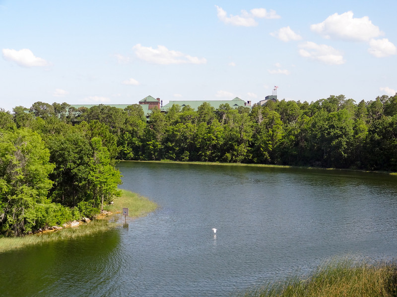 DSC01867-L.jpg