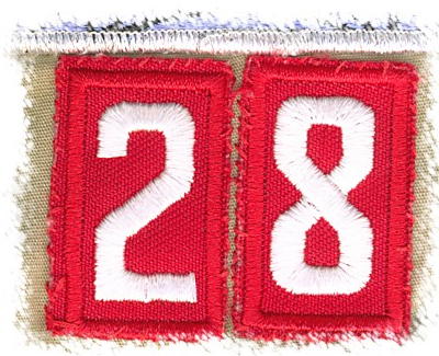 28.jpg
