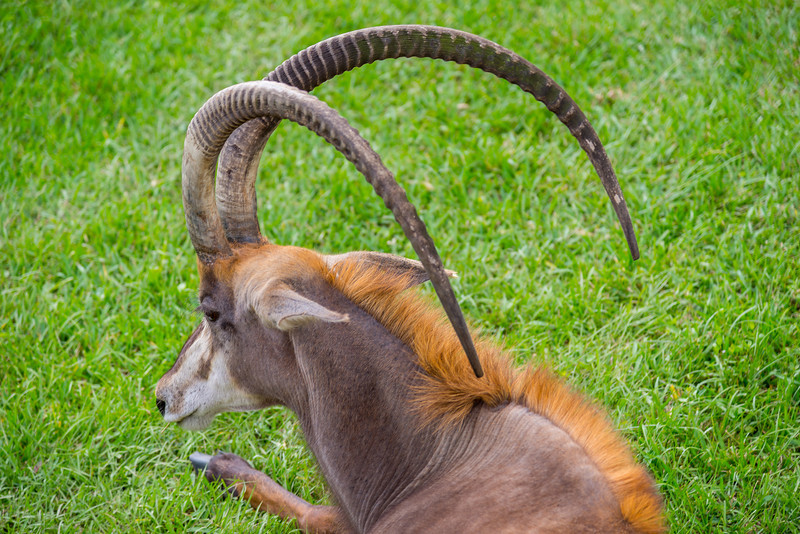 DSC_2075-L.jpg