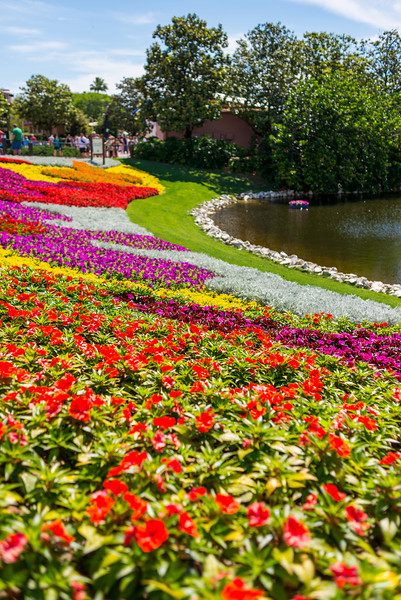 DSC_2424-L.jpg