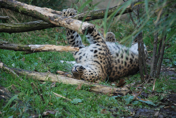 DSC_8298--M.jpg