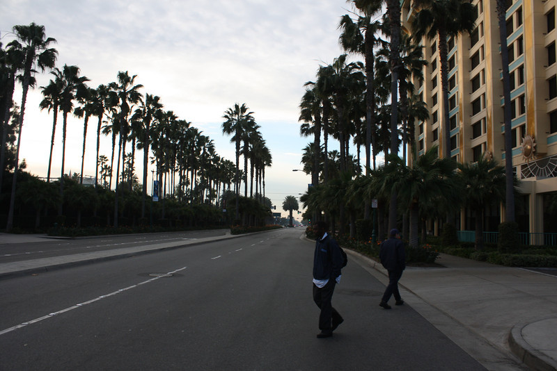 IMG9079-L.jpg