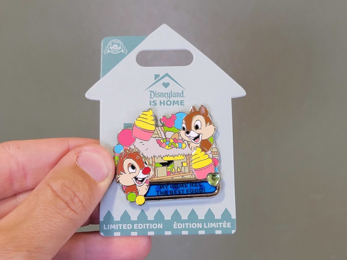 disneyland-is-home-chip-dale-pin-1-1200x900.jpg