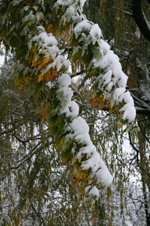 p553062190-3.jpg