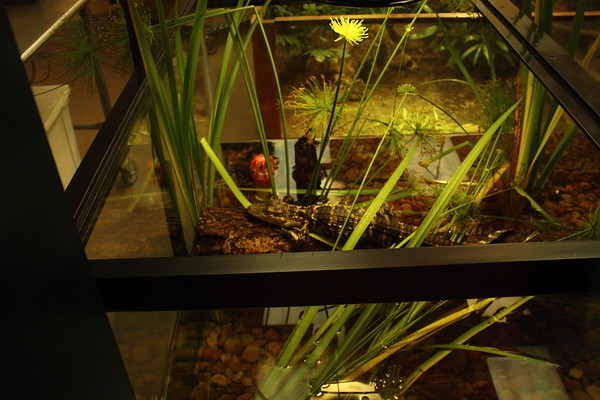 600807339_fg6qC-M.jpg