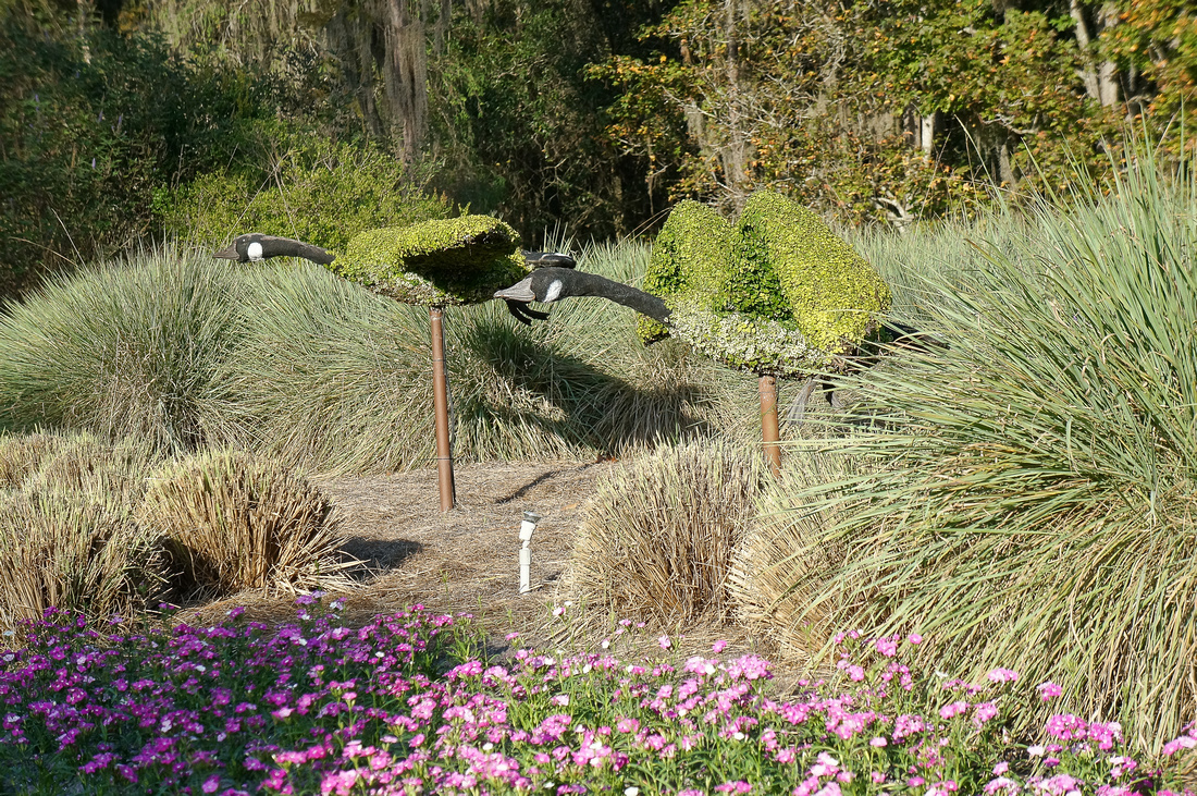 p1774124438-5.jpg