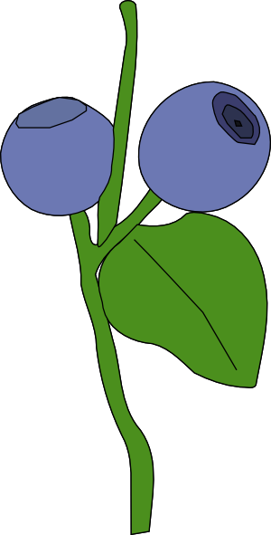 11954461311811522433Machovka_blueberry.svg.hi.png