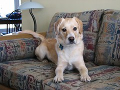 3344811499_acd58d249e_m.jpg