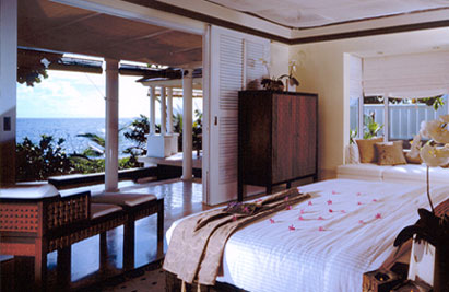 banyan_5.jpg