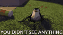 Madagascar Penguins GIFs | Tenor