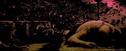 tumblr_lmwwtt6xMQ1qiho7po1_500.gif