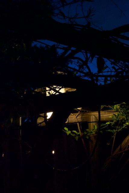 dl-night-13.jpg