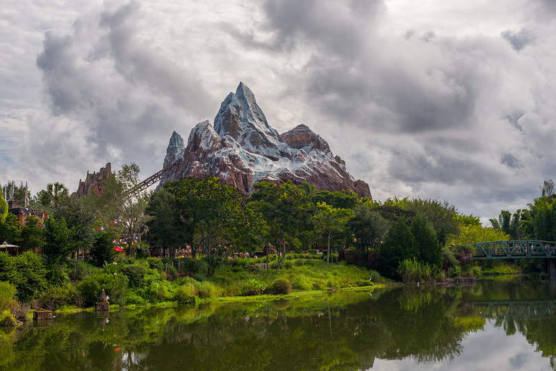 DSC_1624-L.jpg