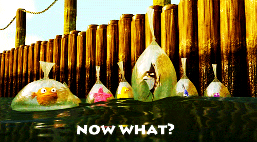 tumblr_ls15fyOApn1qm6oc3o1_500.gif