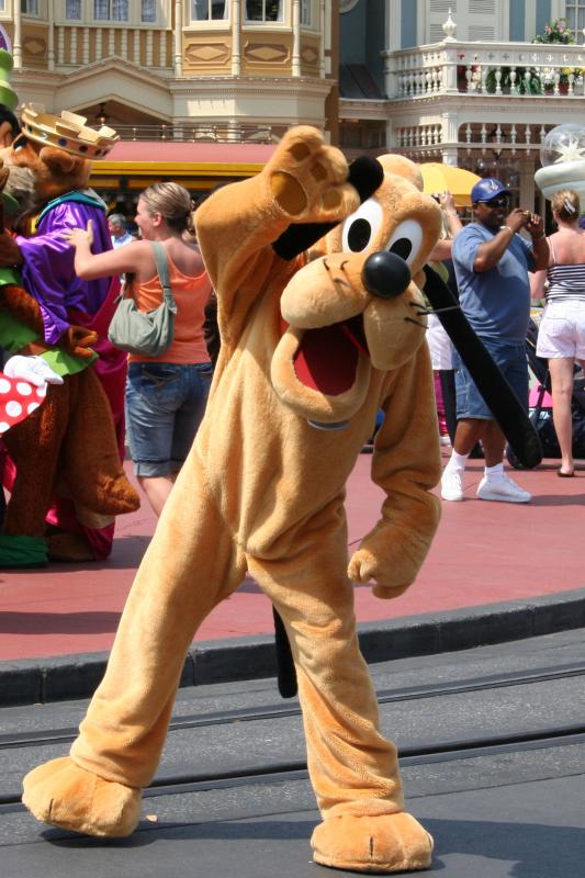 60039825.jpg