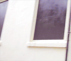 tumblr_m3cbtqB42Q1qfbmido2_r2_250.gif