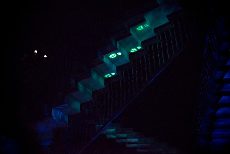 DSC_3120-L.jpg