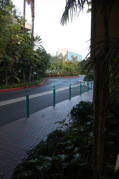 IMG9072-L.jpg