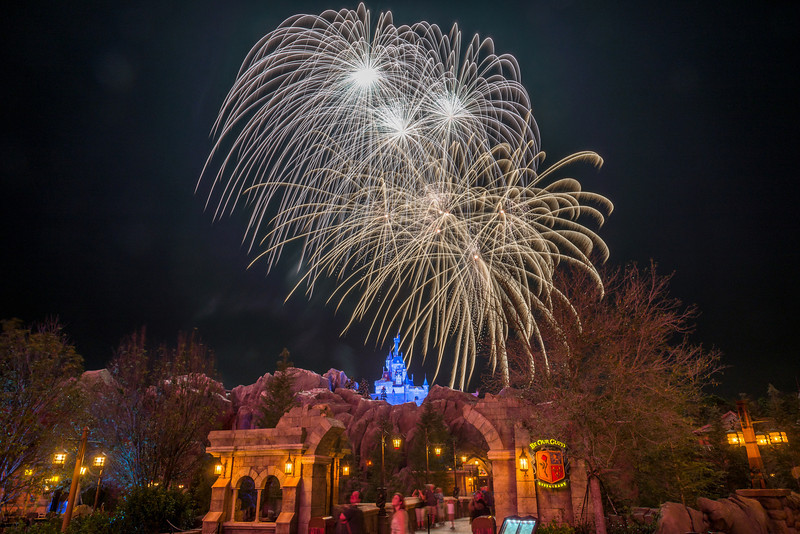 DSC_7464-L.jpg