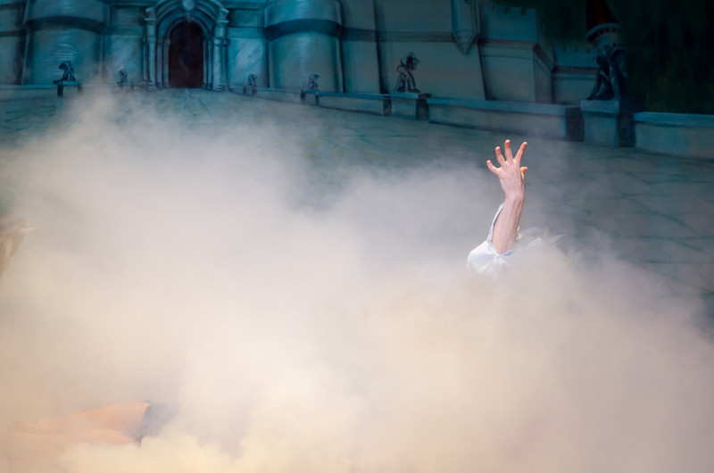 DSC2733-L.jpg