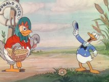donald19.jpg