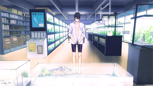 tumblr_mpqgr6guM31s14ntho2_500.gif