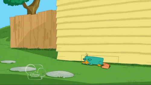 tumblr_m3kqkzOG4u1rt0mozo1_r1_500.gif
