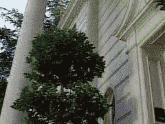 tumblr_lydm0sb0Wx1r7nu6to1_250.gif