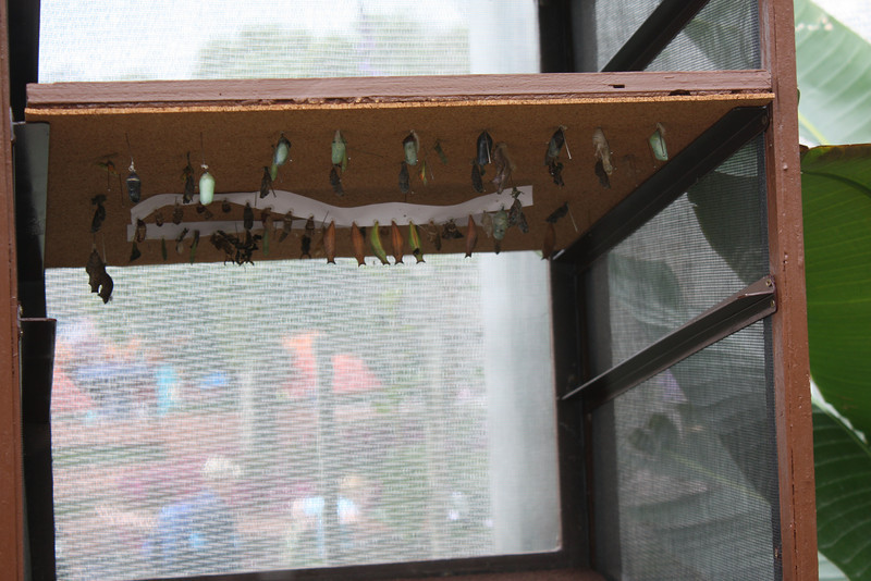 1218431698_pvB34-L.jpg