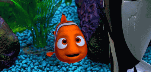 tumblr_lq5p1x0Vyj1qc2qk9o1_500.gif