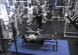 tumblr_mnhyhvvpZn1s7evpeo1_400.gif
