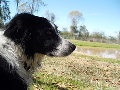 422504997_b206b1364d_m.jpg