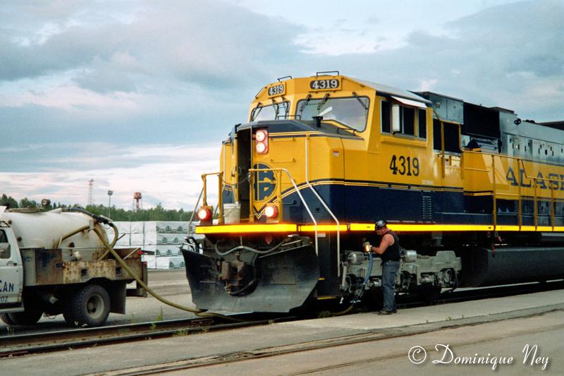 DN-4319.jpg