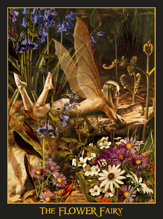 The_Flower_Fairy_copy.jpg