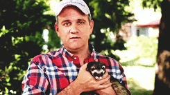 tumblr_lpbzwaLCxu1qfoe0po1_250.gif