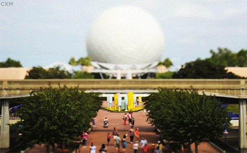 tumblr_lr55unlIqT1qcwsd8o1_r1_500.gif