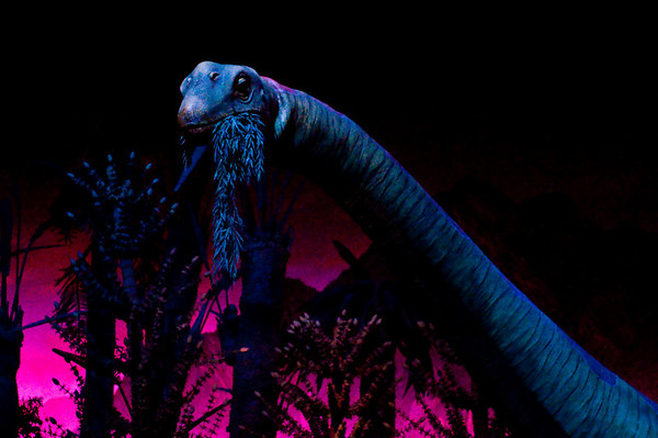 500930956_SyrY5-M.jpg