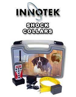 InnotekShockCollars.jpg