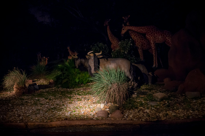 DSC_6118-L.jpg