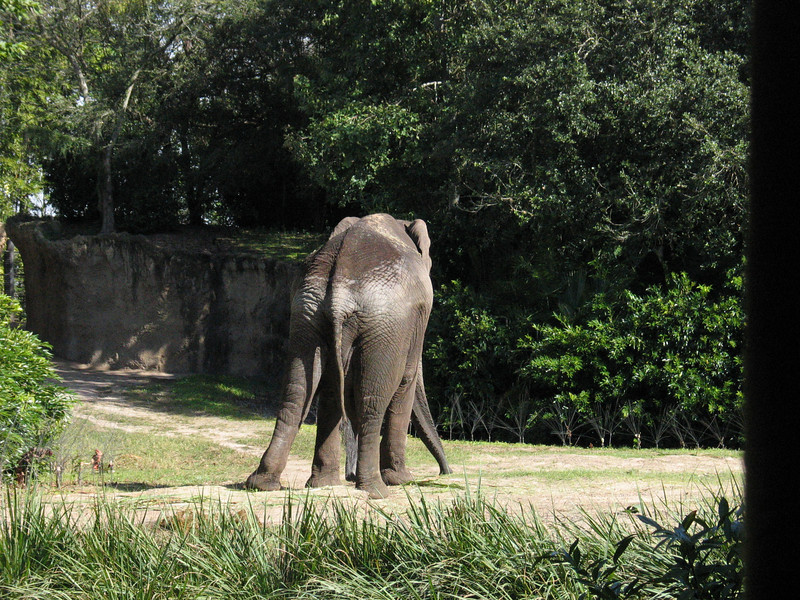 IMG7890-L.jpg