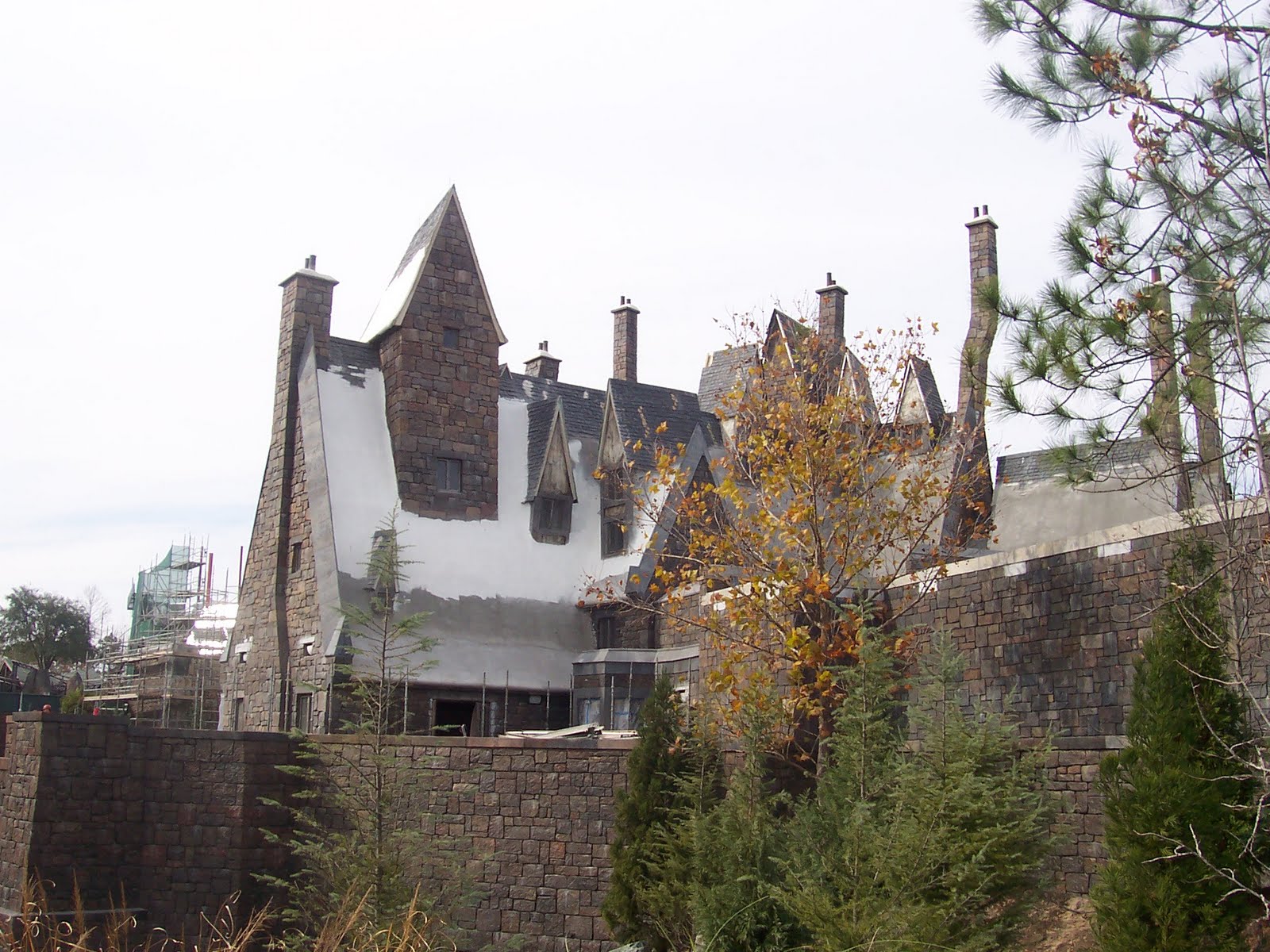 100_6077.JPG