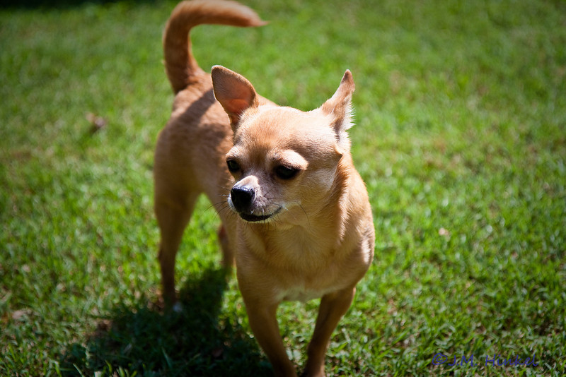 629441925_JPod7-L.jpg