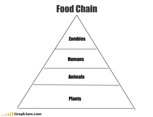 song-chart-memes-food-chain.jpg