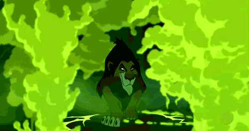 tumblr_lqvwzmNXNN1qe022h.gif