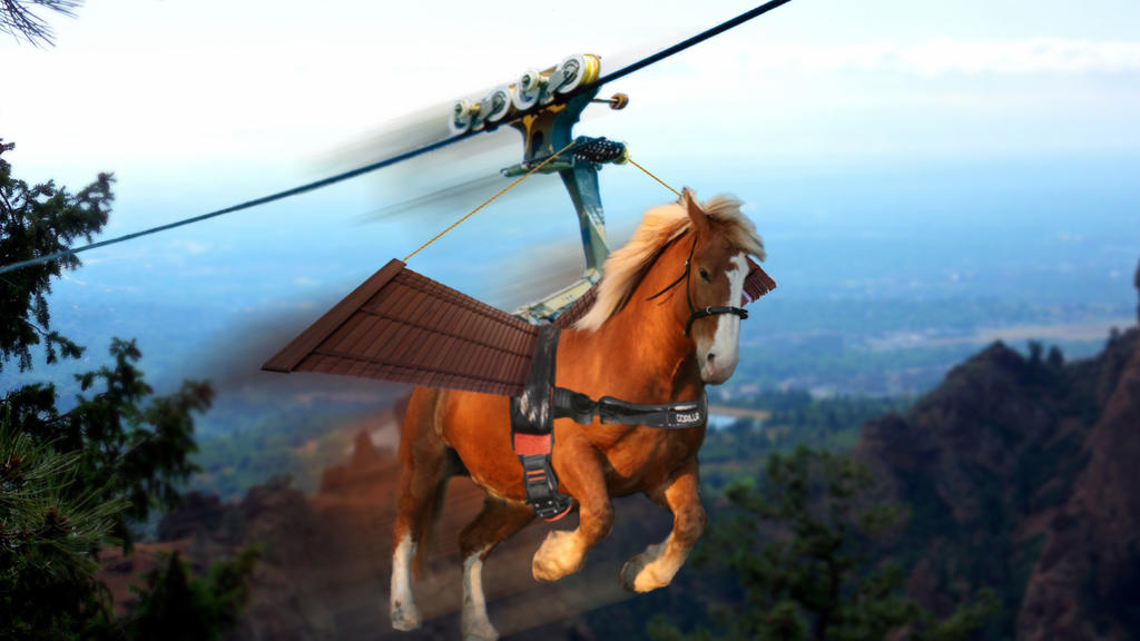 zip_line_horse_by_delboy1066-d55nzww.jpg