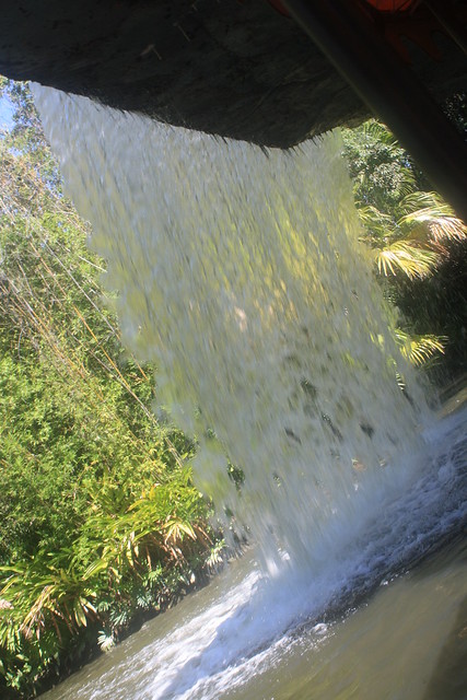 28600075205_373e9b58f2_z.jpg