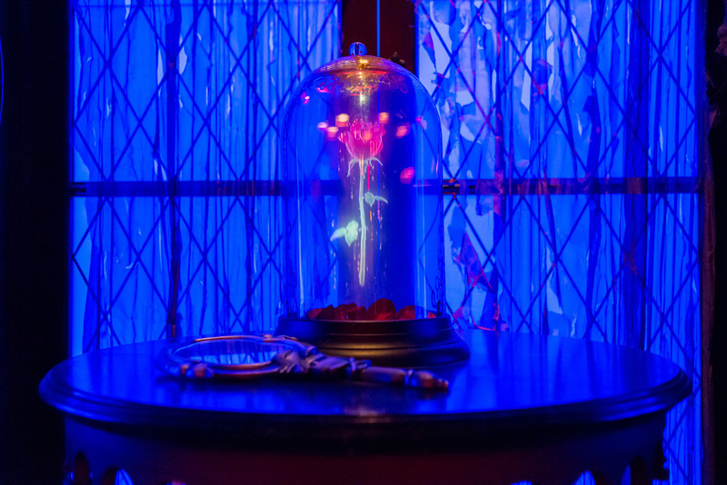 DSC_7336-L.jpg