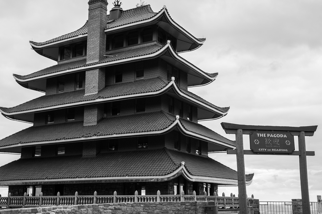 DSC01971-XL.jpg