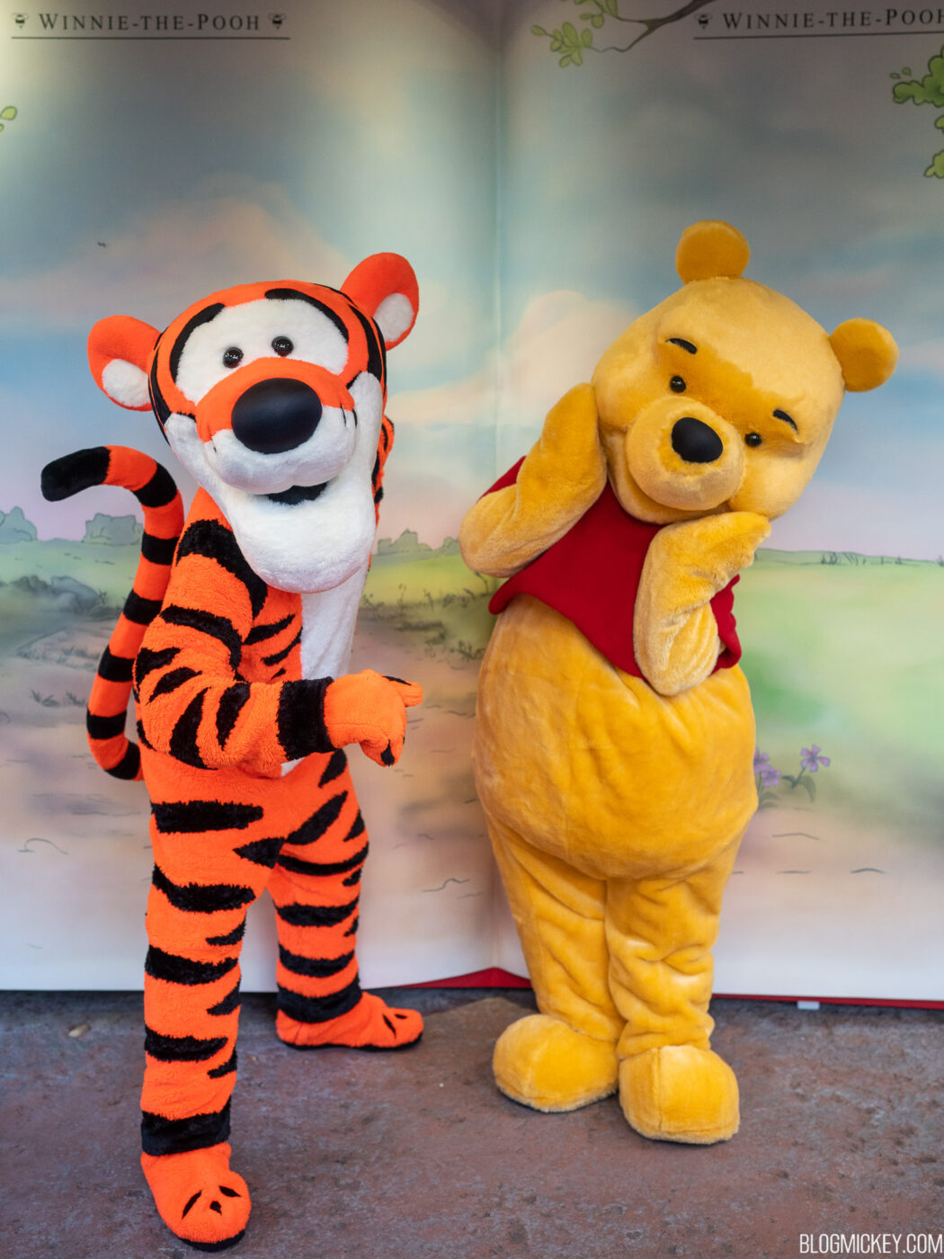winnie-pooh-tigger-meet-greet-3-1050x1400.jpg